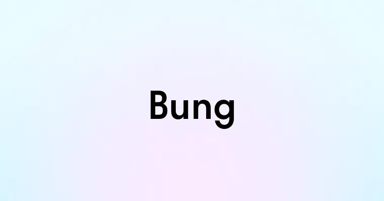 Bung