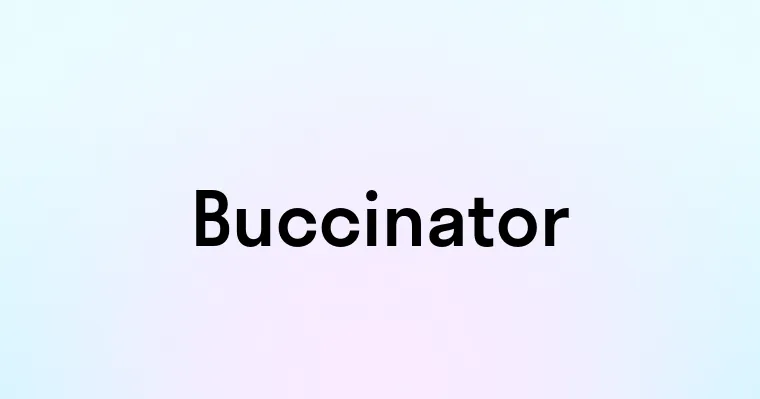 Buccinator