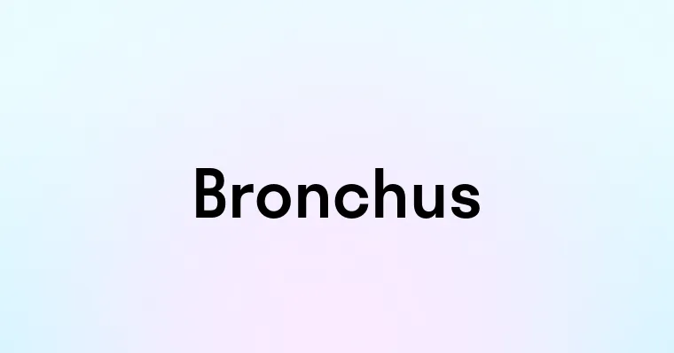 Bronchus