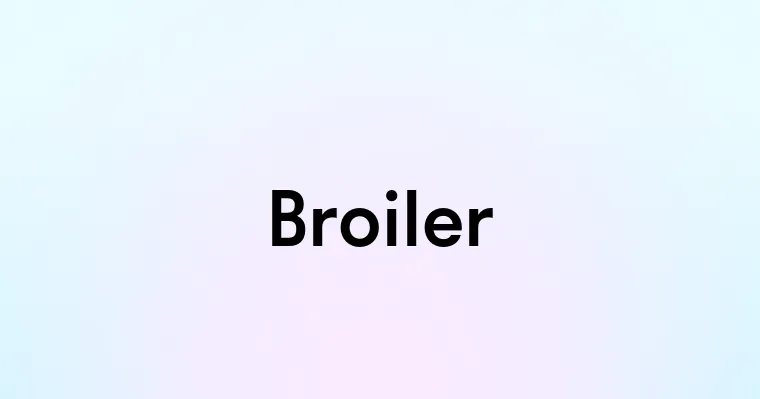 Broiler