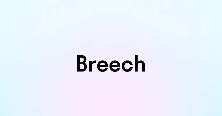 Breech