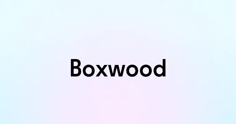 Boxwood