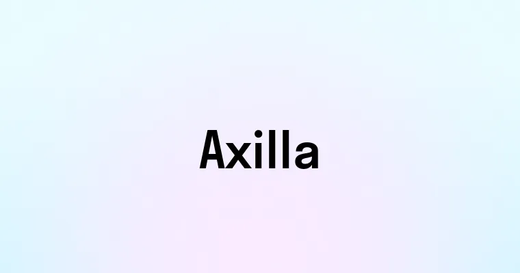 Axilla