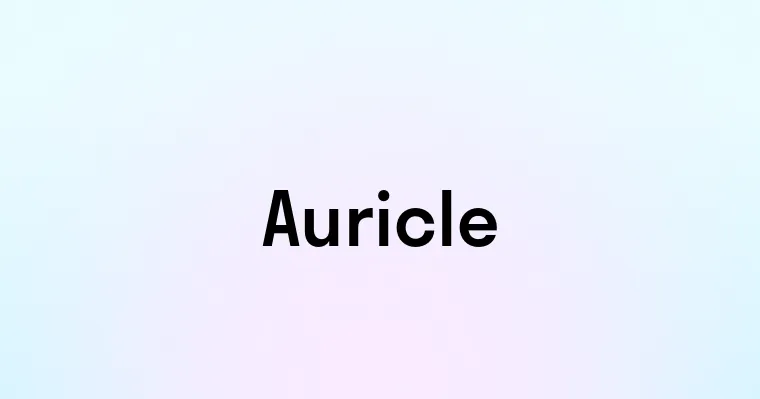 Auricle