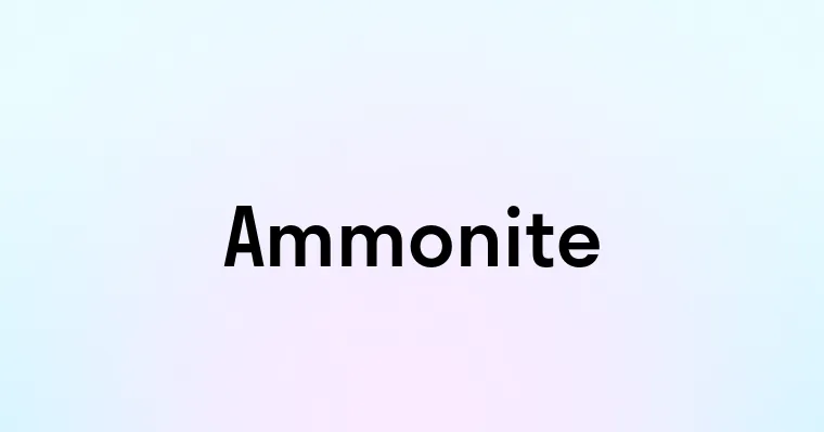 Ammonite