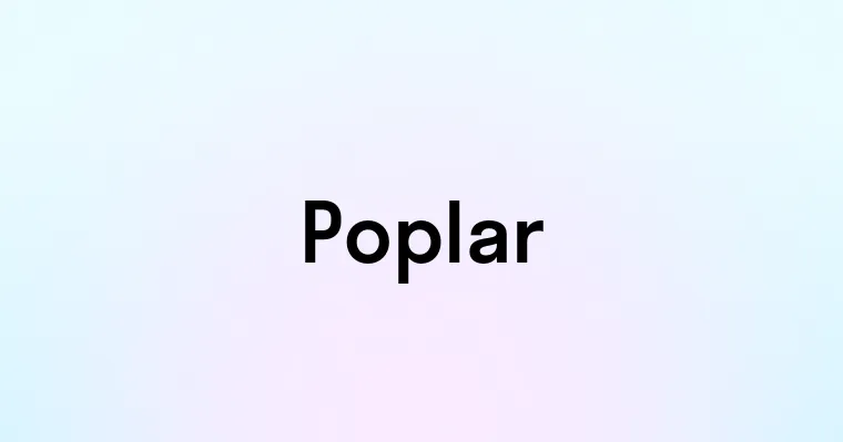 Poplar