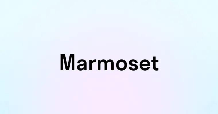 Marmoset