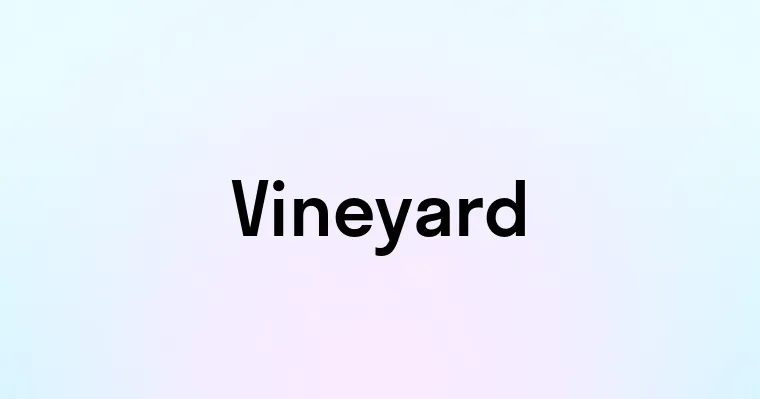 Vineyard