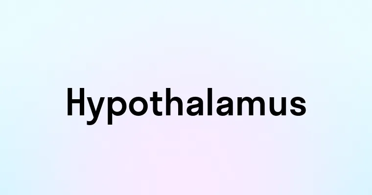 Hypothalamus