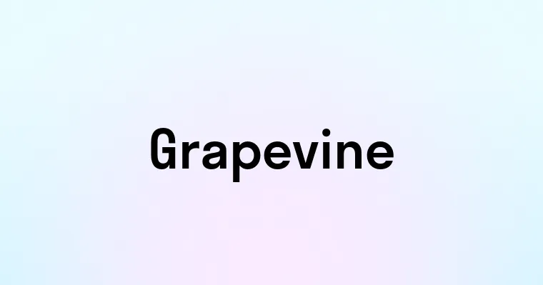 Grapevine