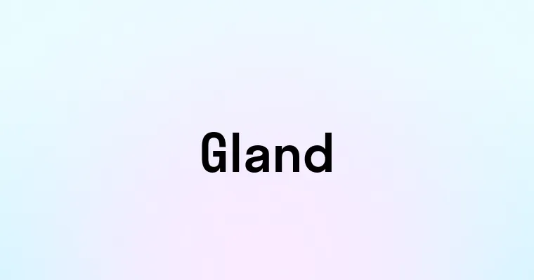 Gland