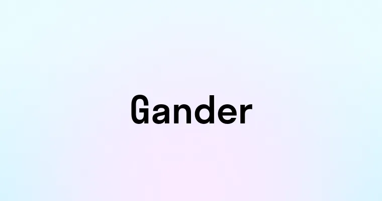 Gander