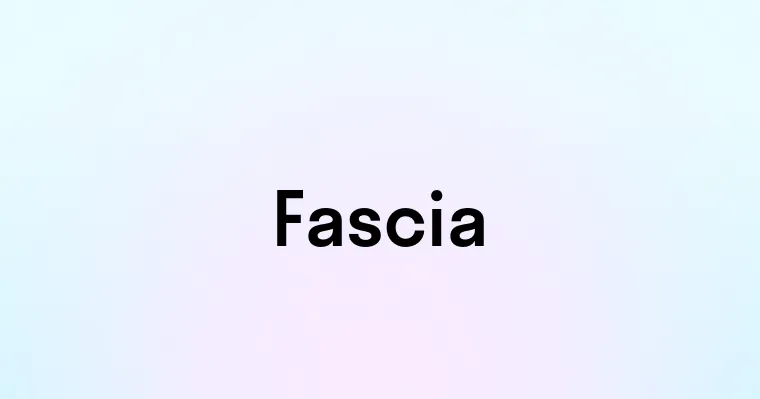 Fascia