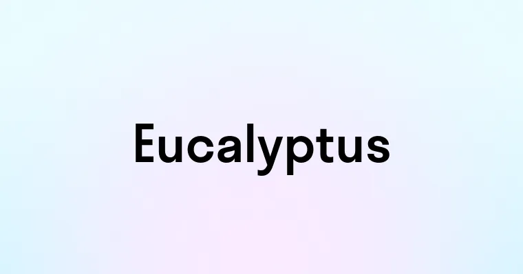 Eucalyptus