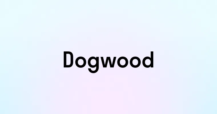 Dogwood