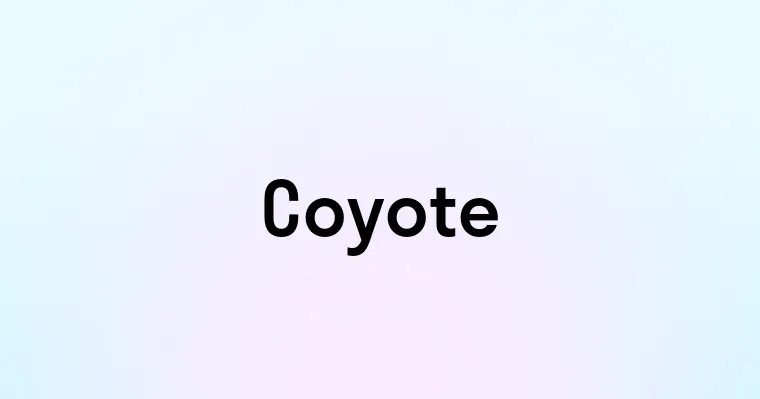 Coyote