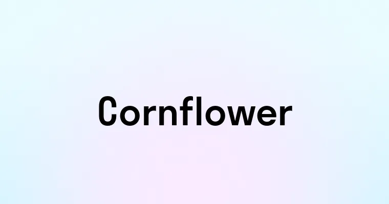 Cornflower