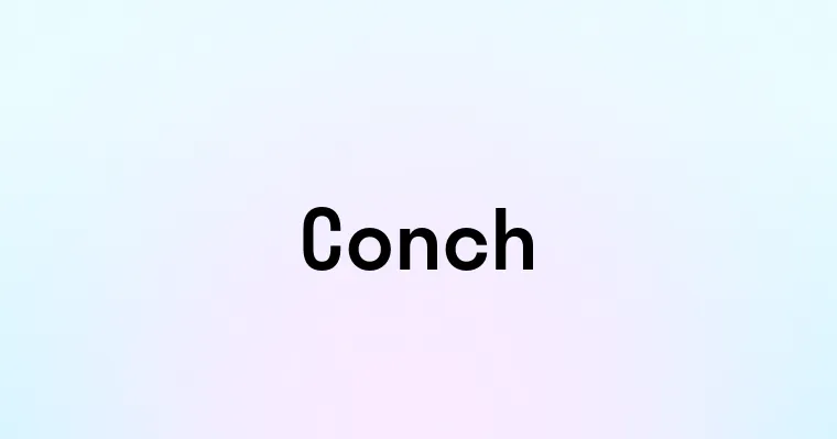 Conch