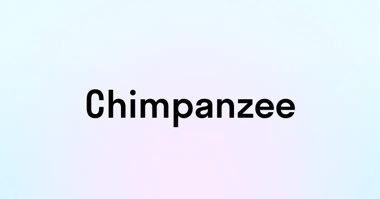 Chimpanzee