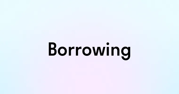 Borrowing