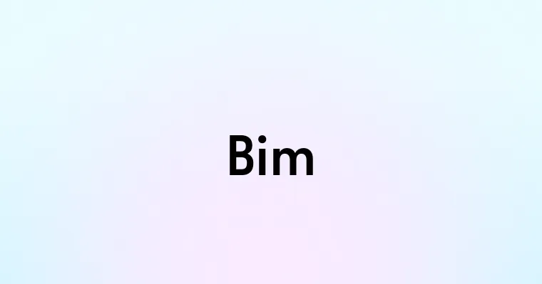 Bim