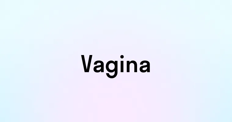 Vagina