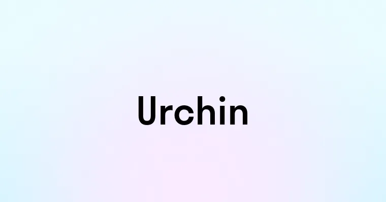 Urchin