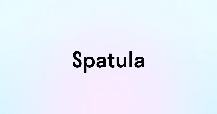 Spatula