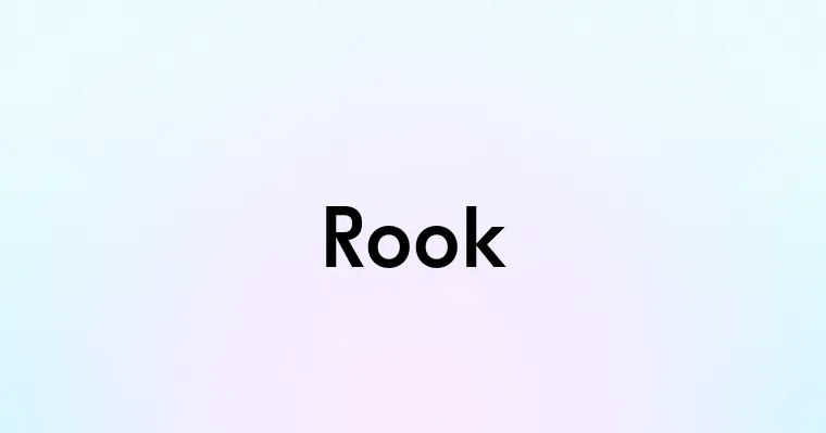 Rook