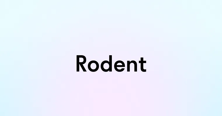 Rodent