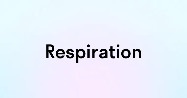 Respiration