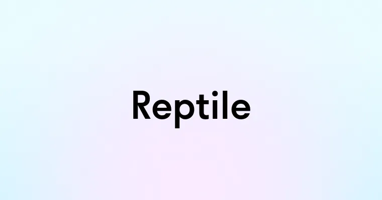 Reptile