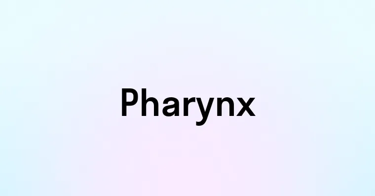 Pharynx