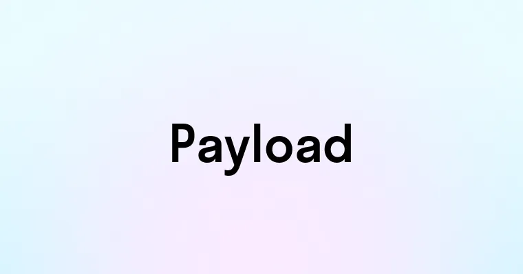 Payload