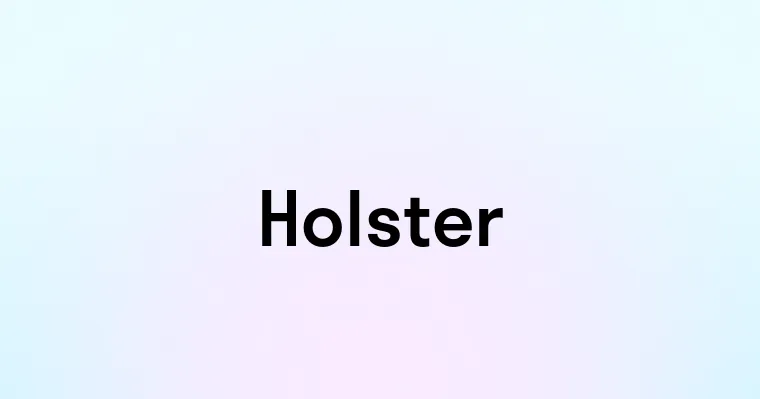 Holster