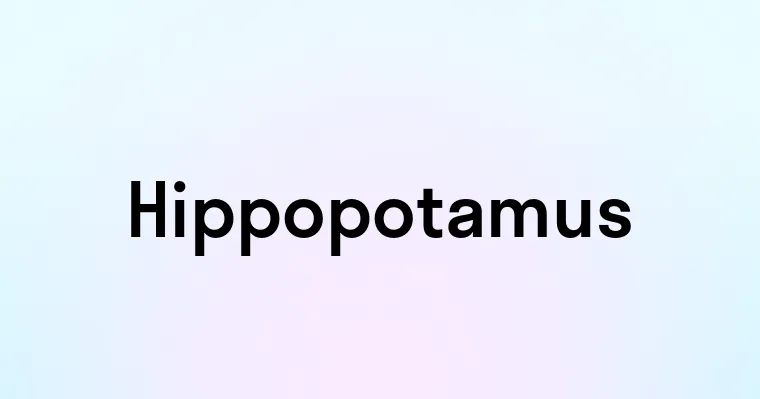 Hippopotamus