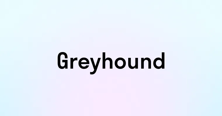 Greyhound