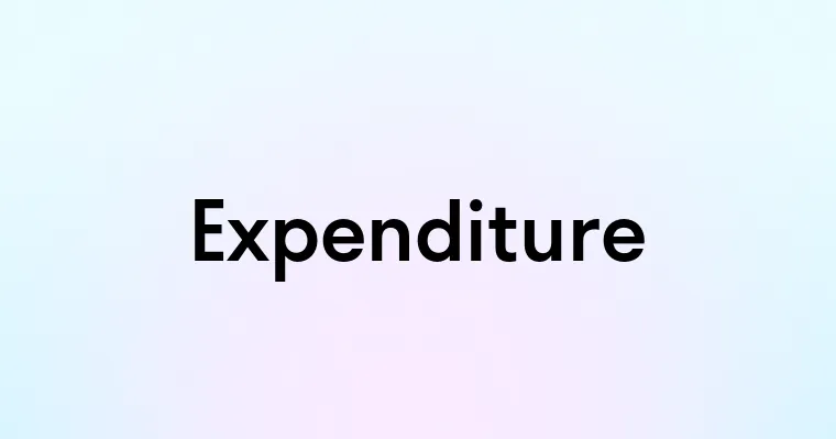 Expenditure