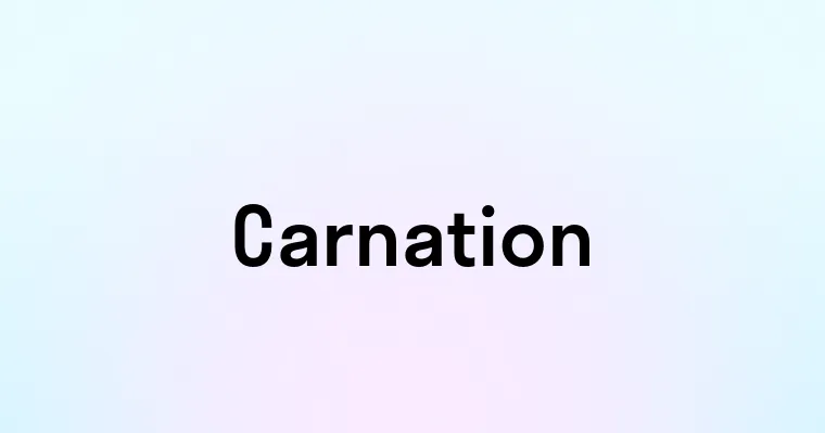 Carnation