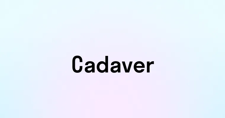 Cadaver