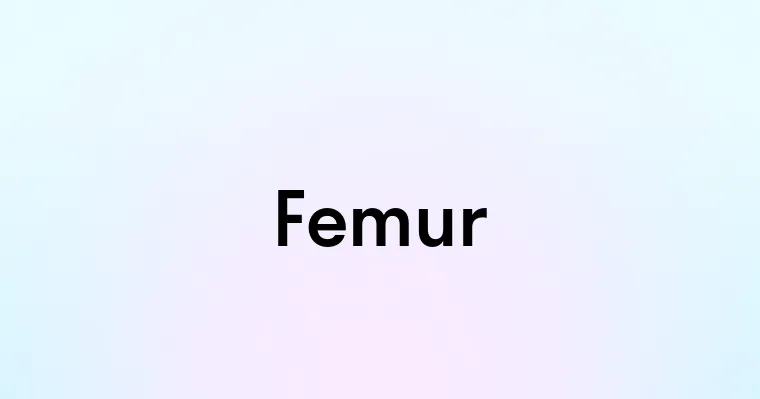 Femur