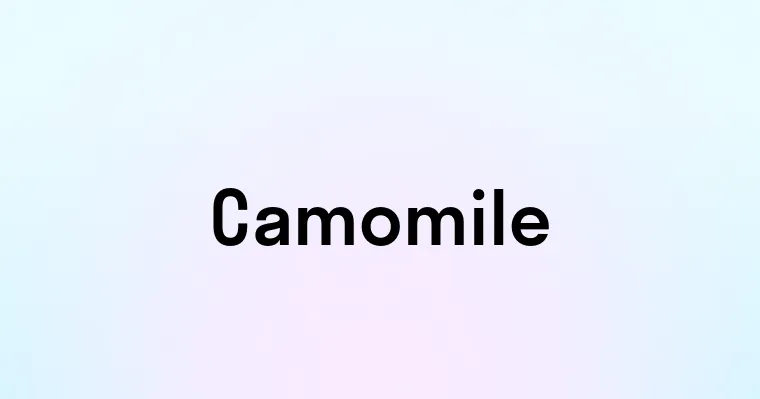 Camomile