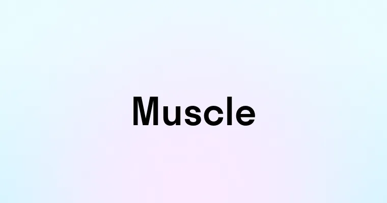 Muscle