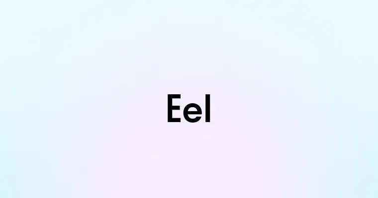 Eel