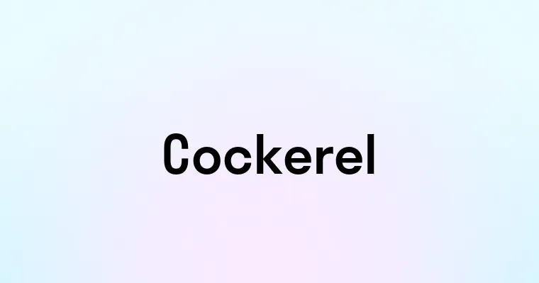 Cockerel