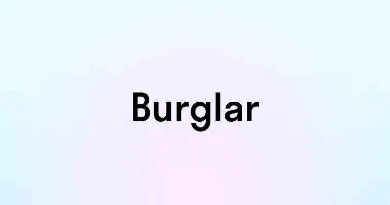 Burglar