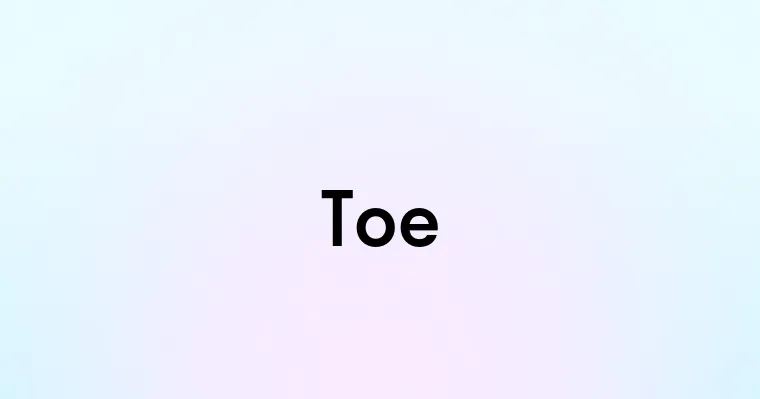 Toe