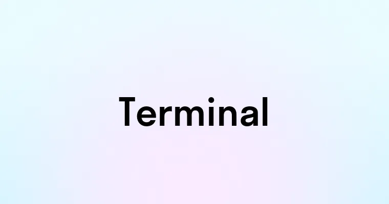 Terminal