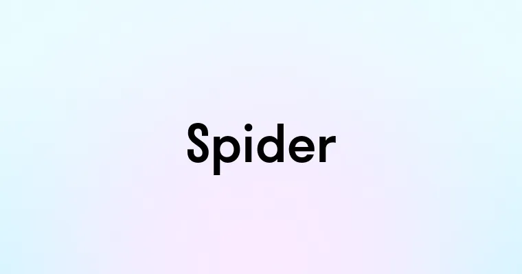 Spider