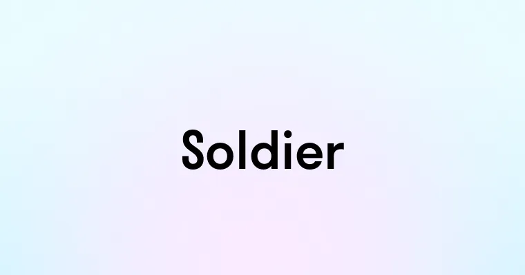 Soldier